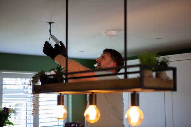 Best Electric Panel Repair  in Albers, IL